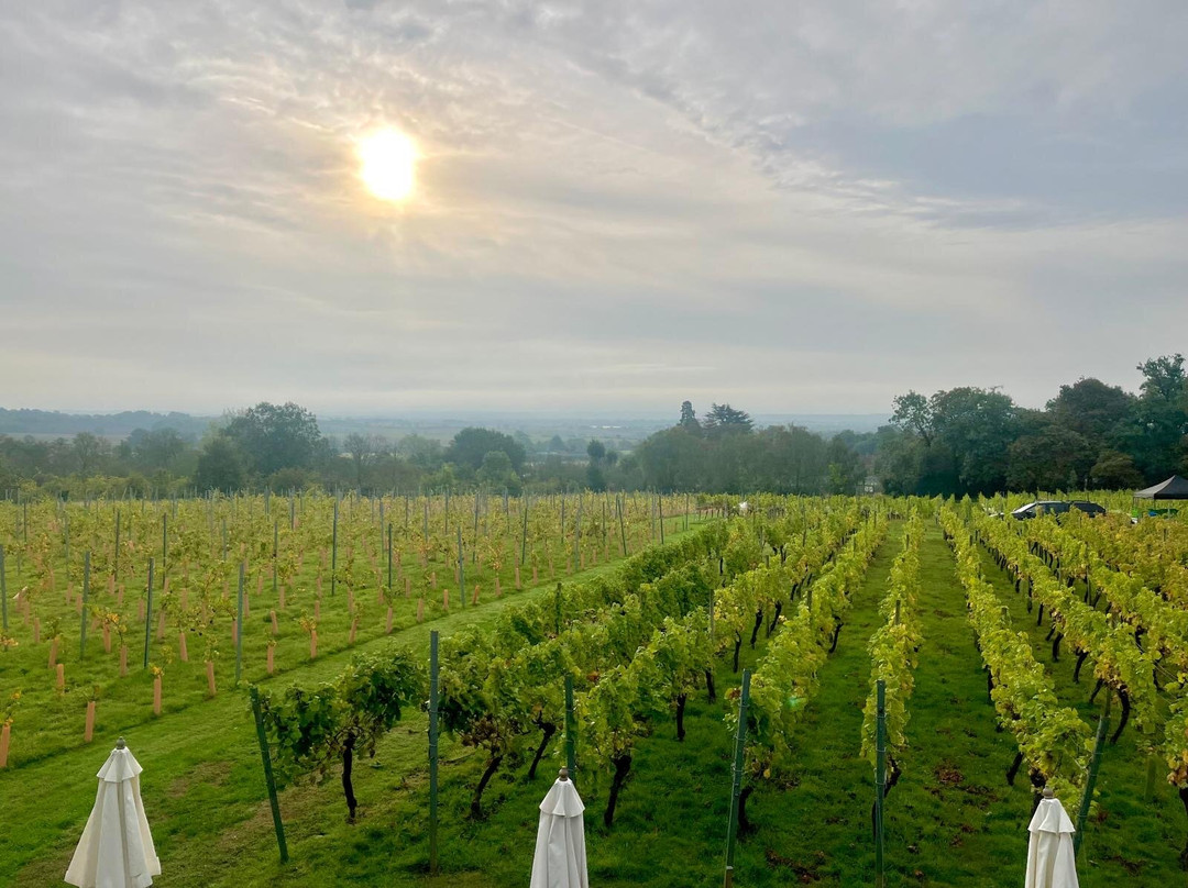 Welcombe Hills Vineyard-Snitterfield必去景点