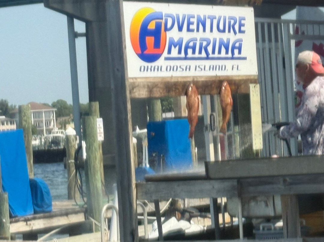 Power Up Watersports-华尔顿堡滩必去景点