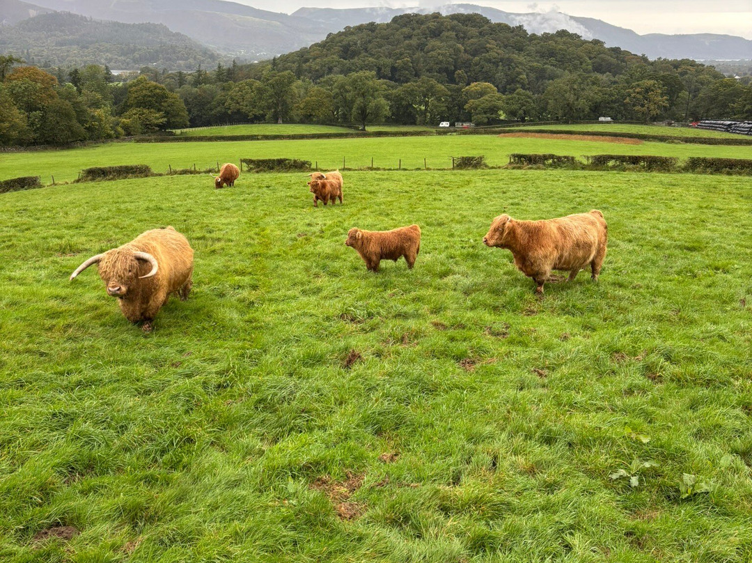 Springs Farm Guesthouse主图