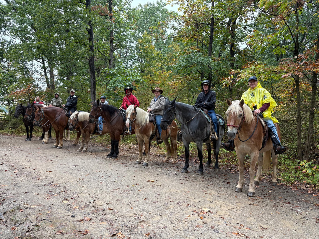 Hickory Hollow Horse Farm-葛底斯堡必去景点