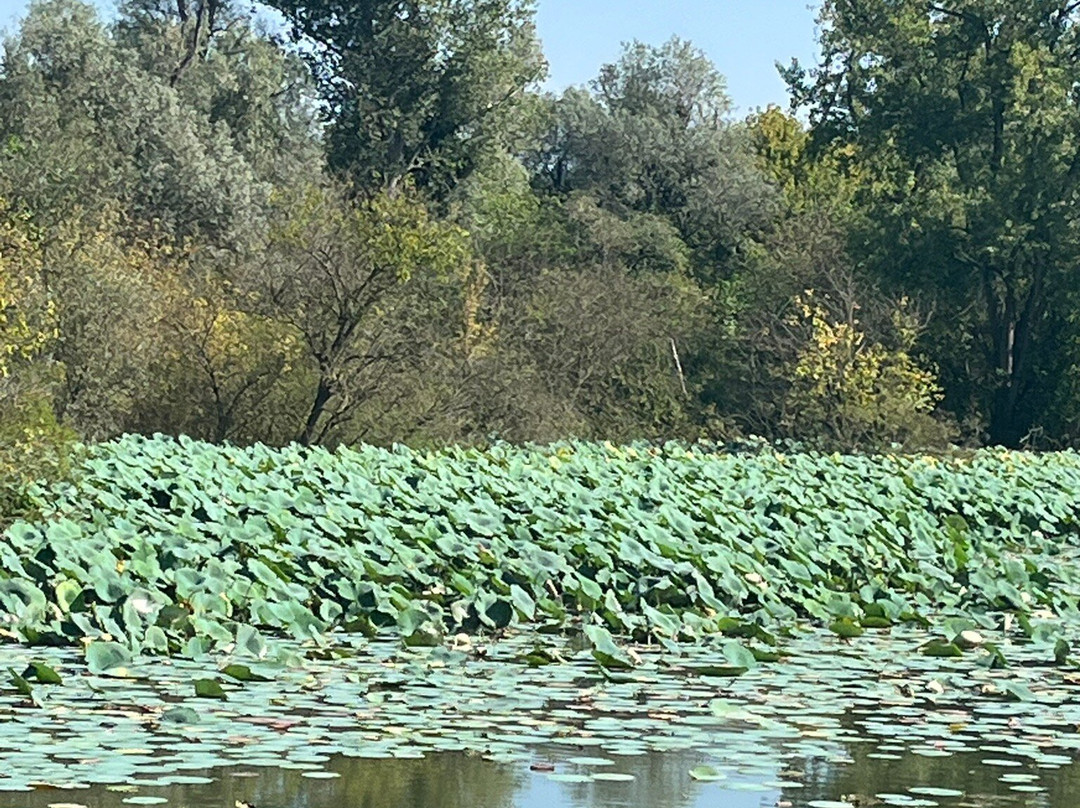 Motonavi Andes Negrini Day Tours-曼托瓦必去景点