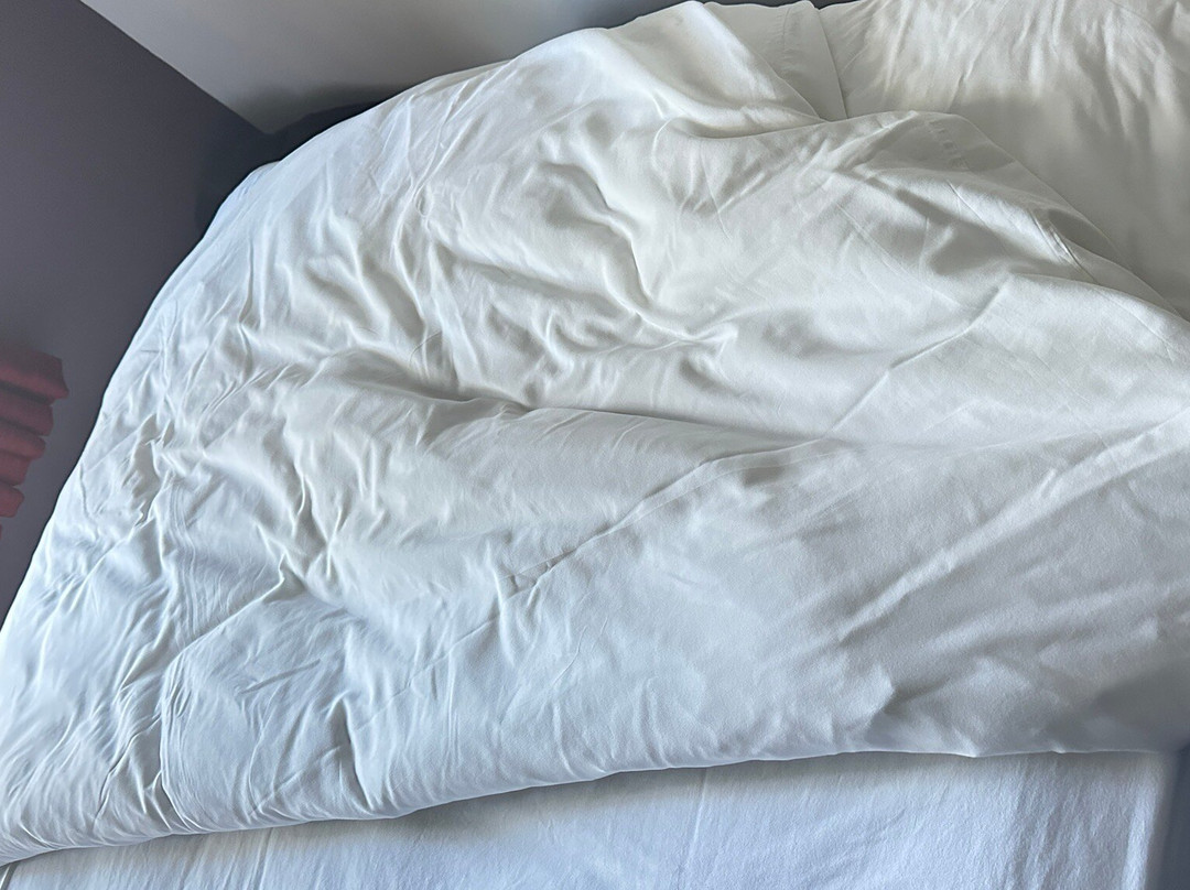 伯明翰玫瑰与皇宫老酒店主图