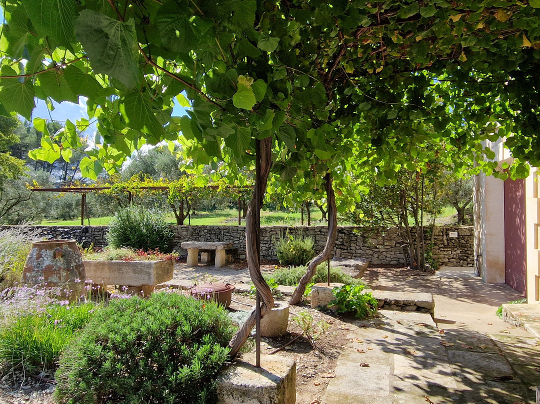 Moulin du Calanquet-圣雷米必去景点