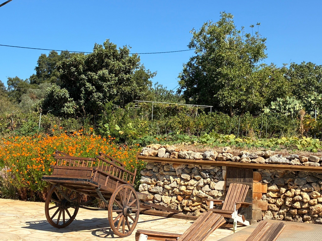 T4XI for You -  Crete Taxi Reservations-雷斯蒙必去景点