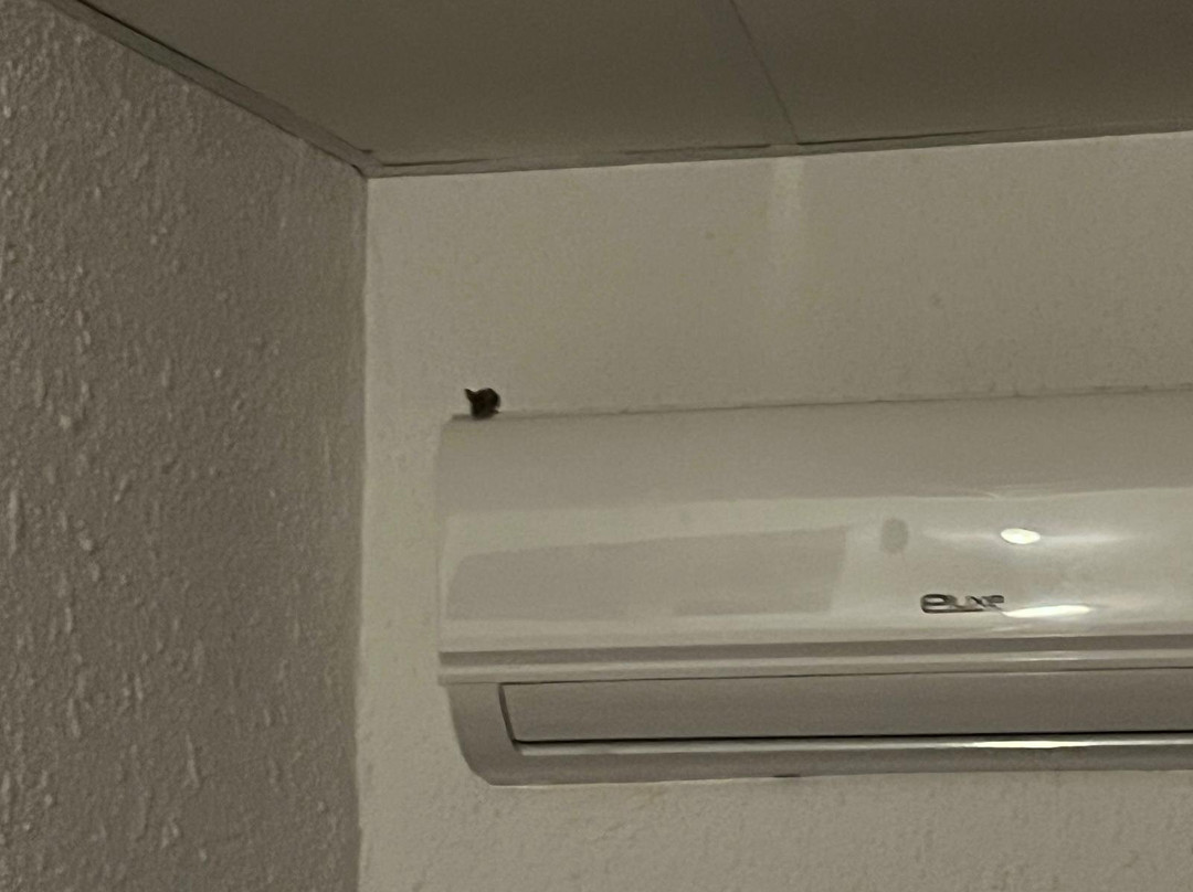 Apartamentos Moon Dreams Los Lentiscos主图