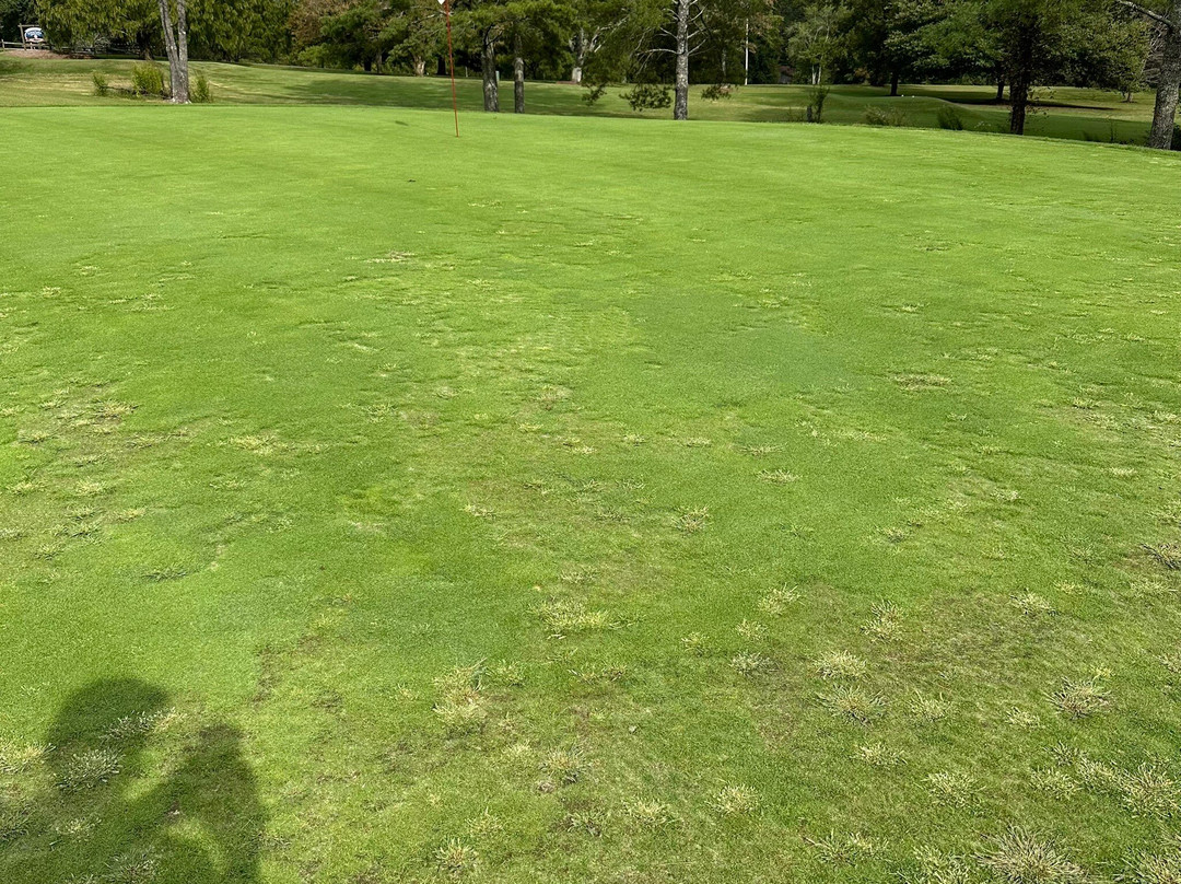 Chatuge Shores Golf Course-Hayesville必去景点