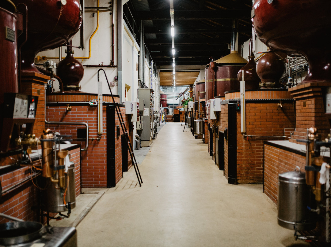 Cognac de Luze-Angeac-Champagne必去景点