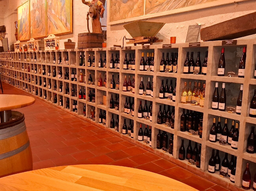 Musée de la Vigne et du Vin-Boudry必去景点