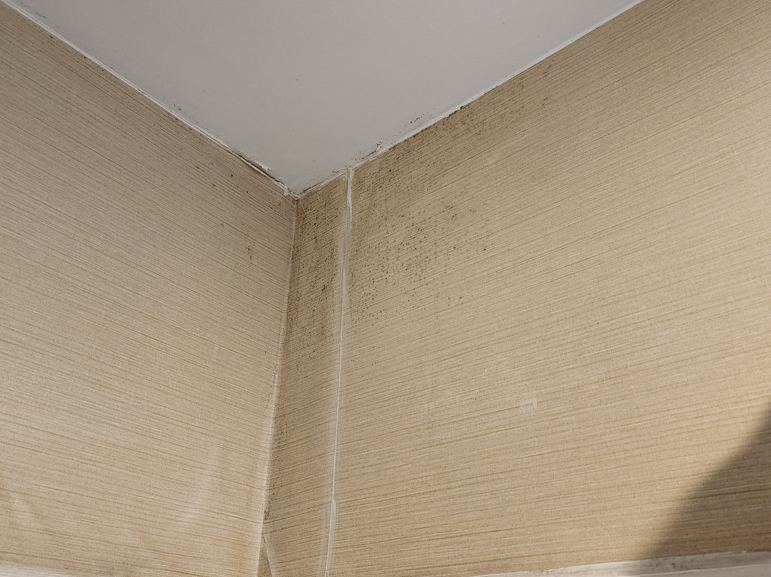 Quality Inn Cameron主图