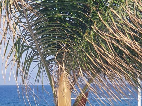 Belair Beach Hotel主图