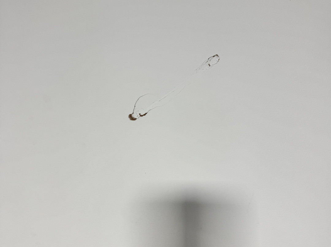 The Charles Hotel主图