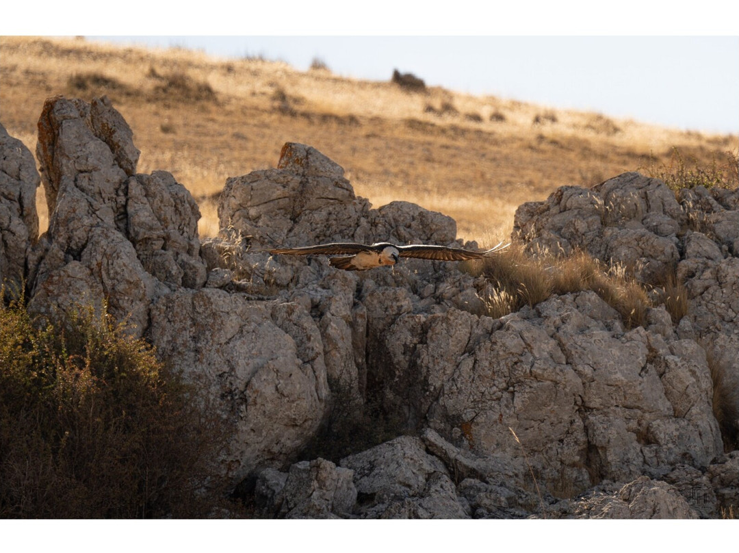 EcoActiva Turismo Activo-格拉纳达必去景点