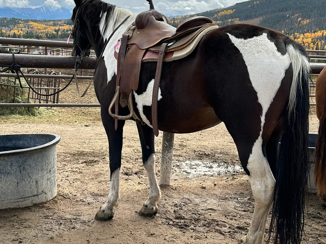 Rocky Mountain Stables-格兰比必去景点