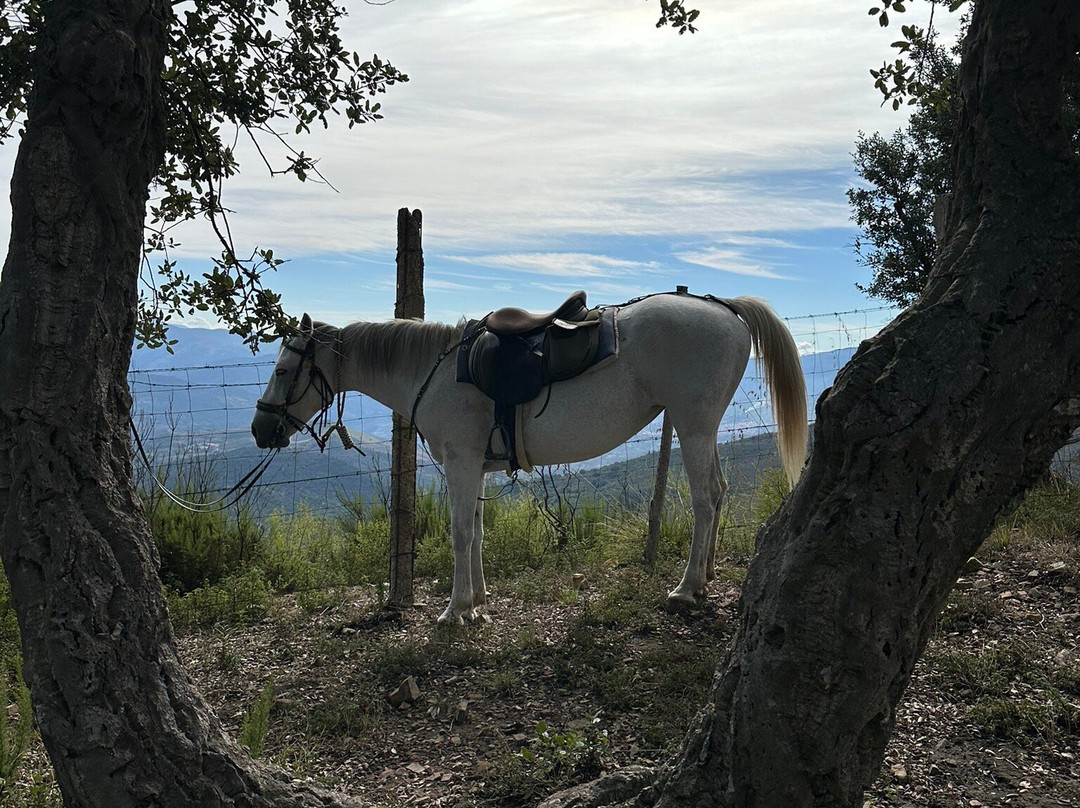 Ride Sicily-切法卢必去景点