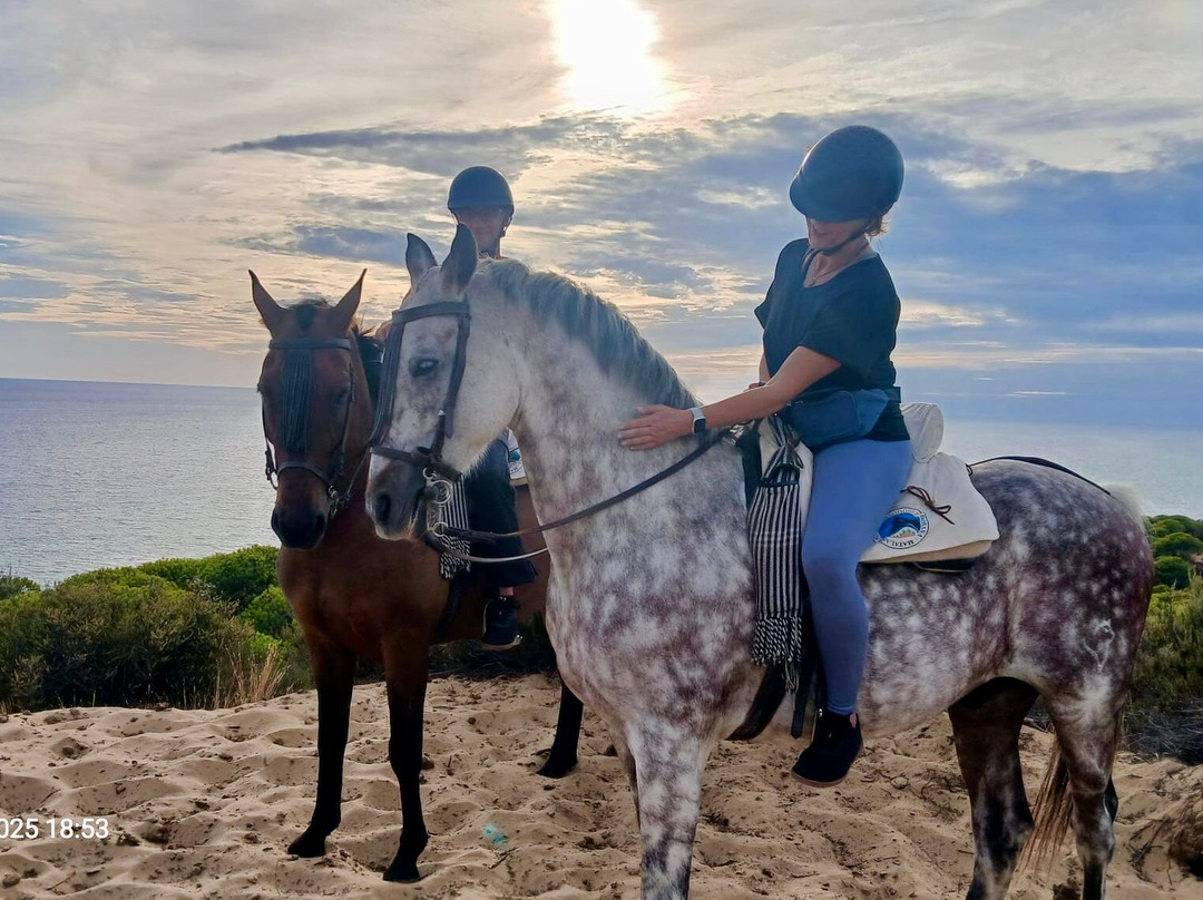 Doñana Hipica El Pasodoble-Matalascanas必去景点