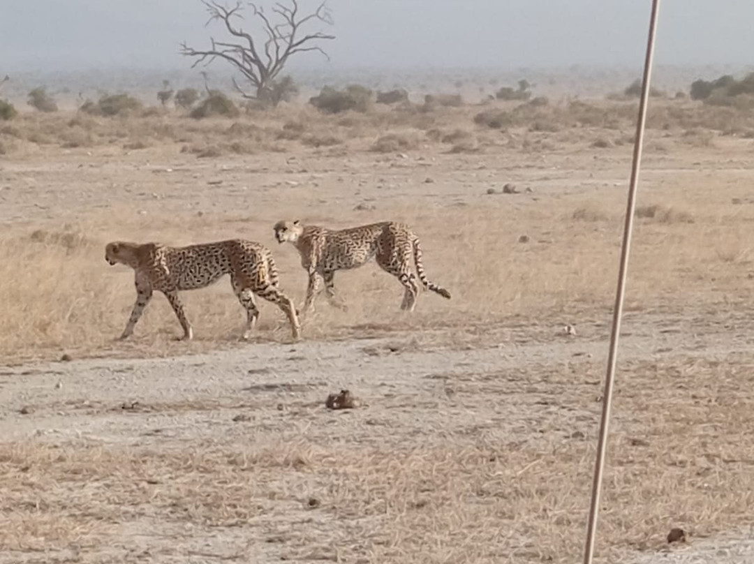 Destinations Kenya Safari-内罗毕必去景点