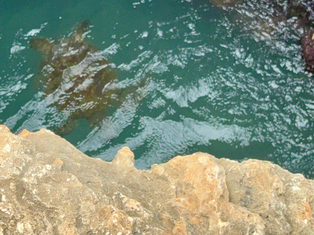 Mermaid Caves-怀厄奈必去景点