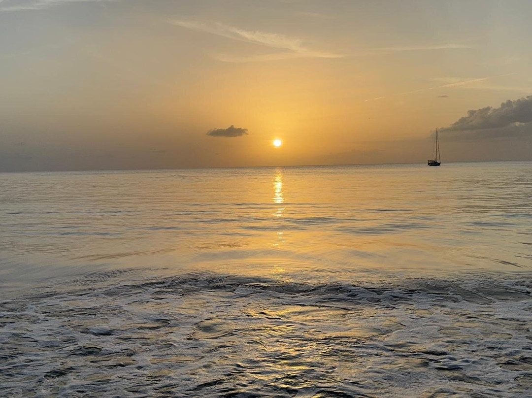 Island Girl Tours-斯卡伯勒必去景点