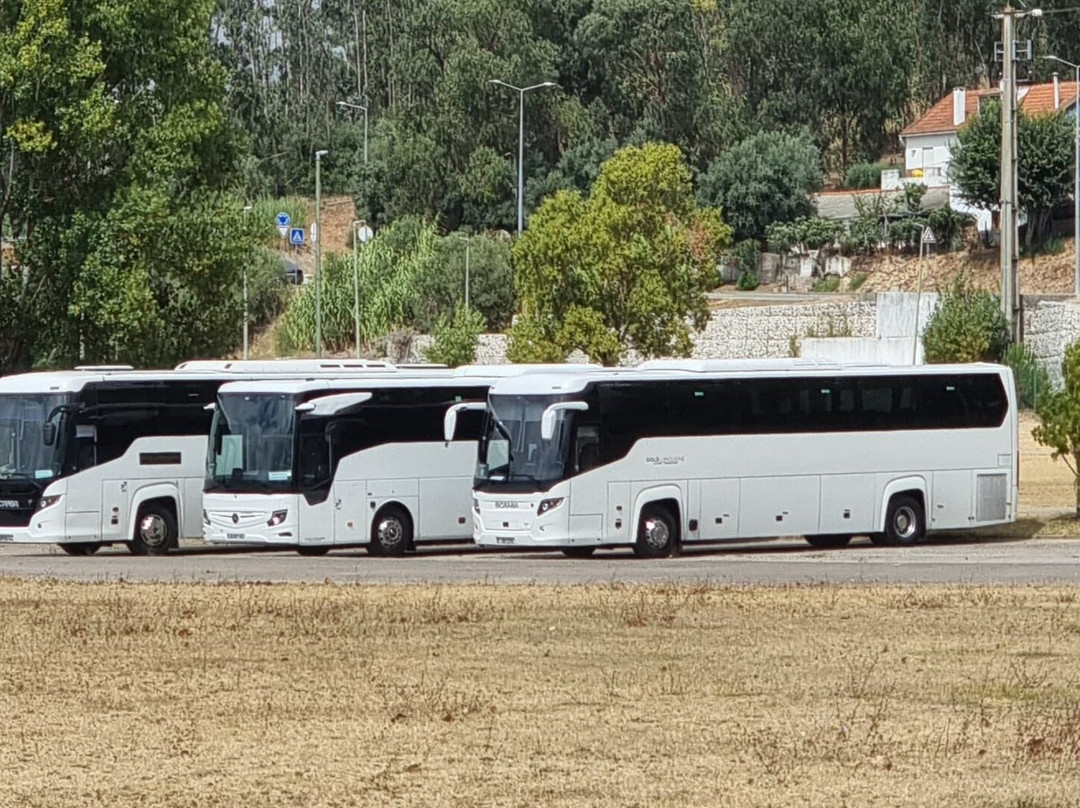 Gold Limousine  - Luxury Transport-里斯本必去景点