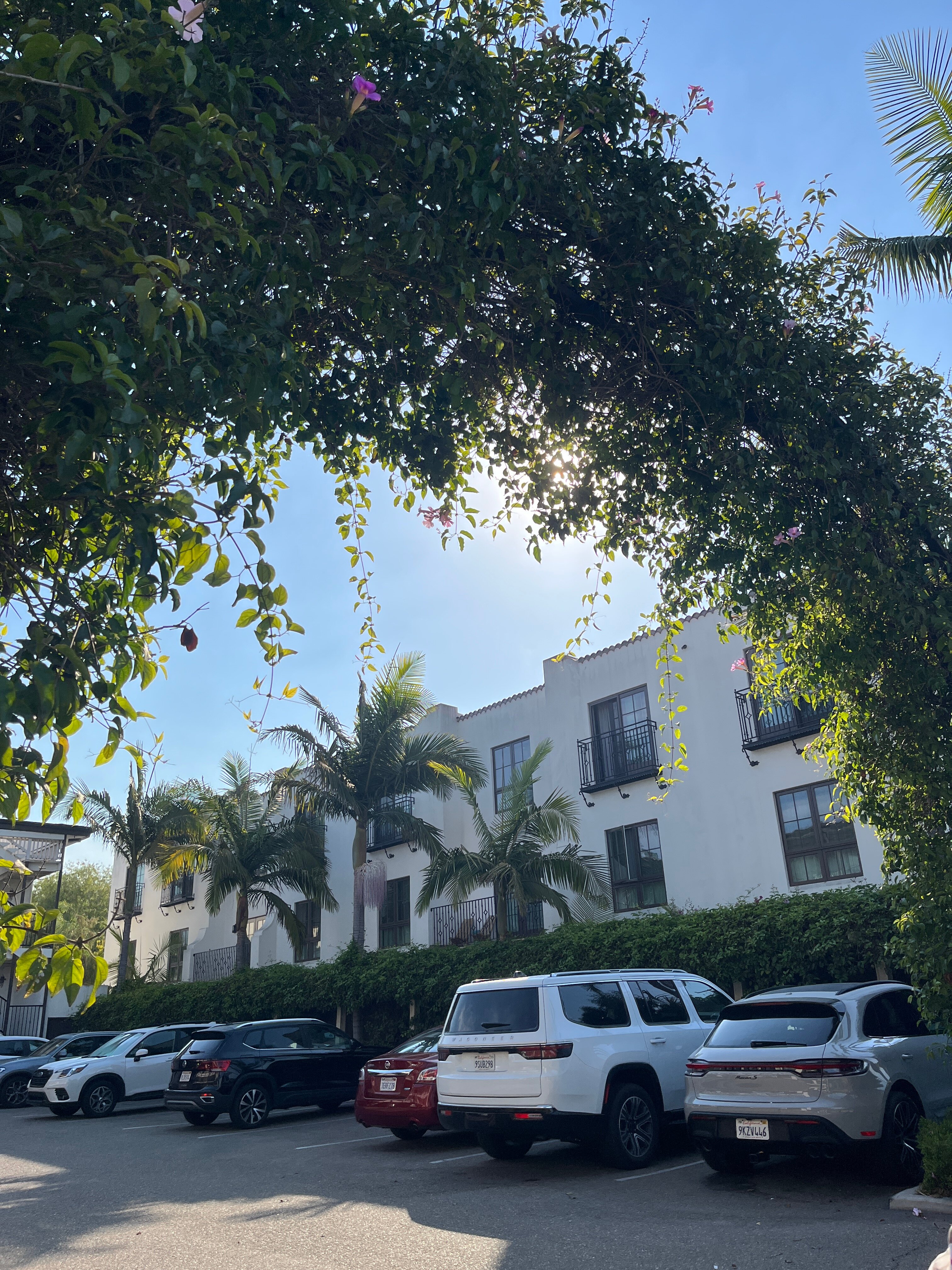 Avania Inn Of Santa Barbara-官方