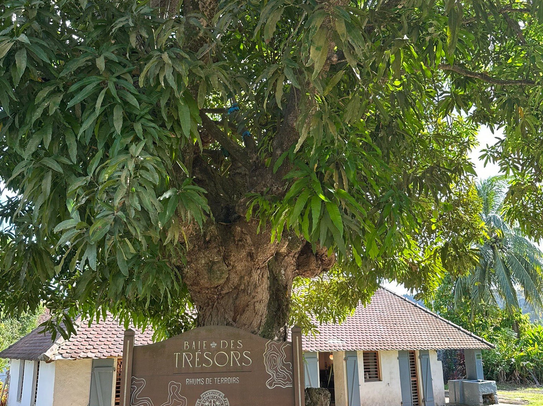 Rhums Baie Des Trésors-La Trinite必去景点