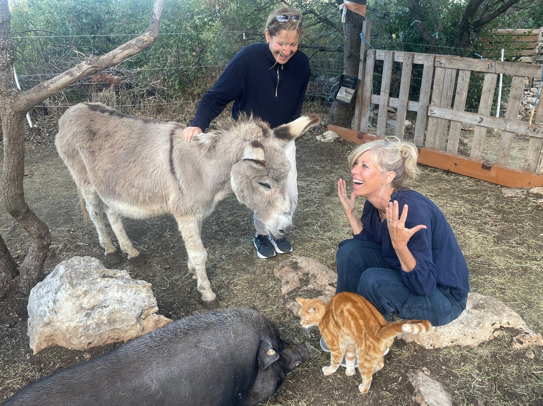 Brac Animal Sanctuary-Nerezisca必去景点