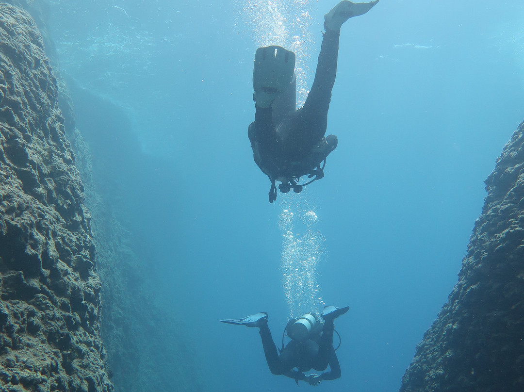 Chania Diving Center-干尼亚必去景点