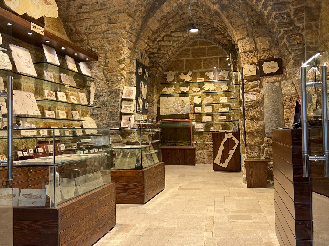 Memory of Time-朱拜勒必去景点