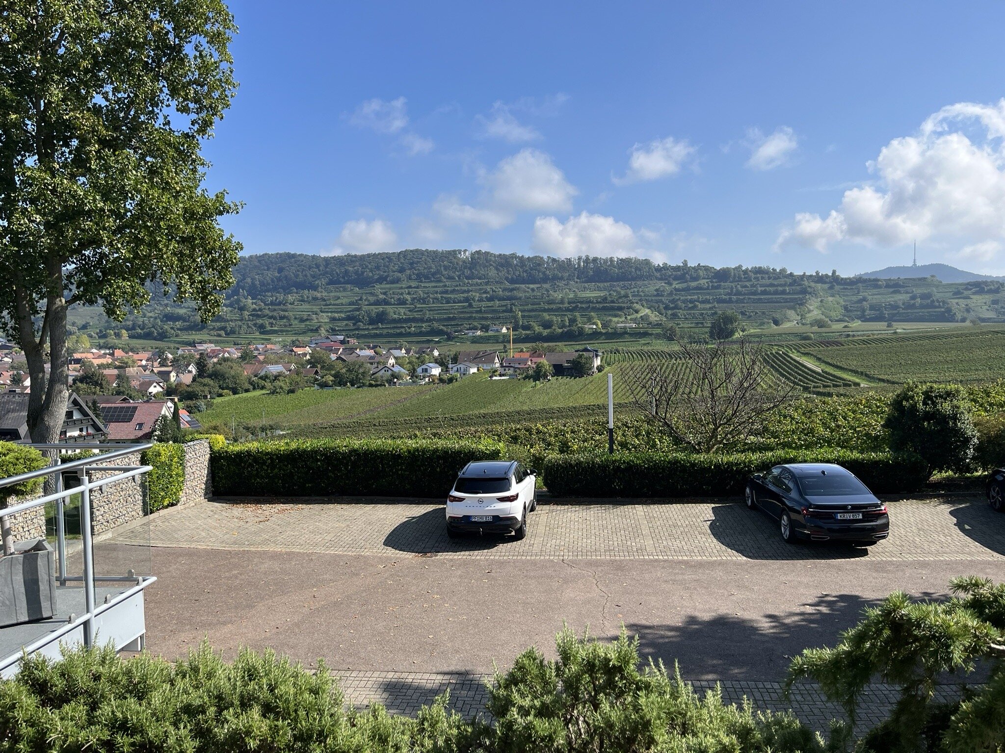 Köpfers Steinbuck-官方