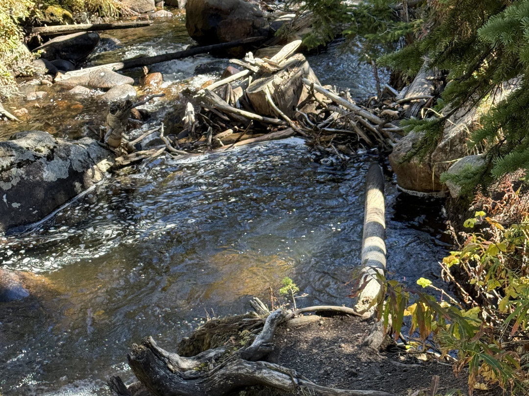 Footpaths of the World - Day Tours-埃斯蒂斯公园必去景点