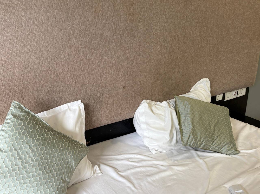 Perfectstayz Koko Maya主图