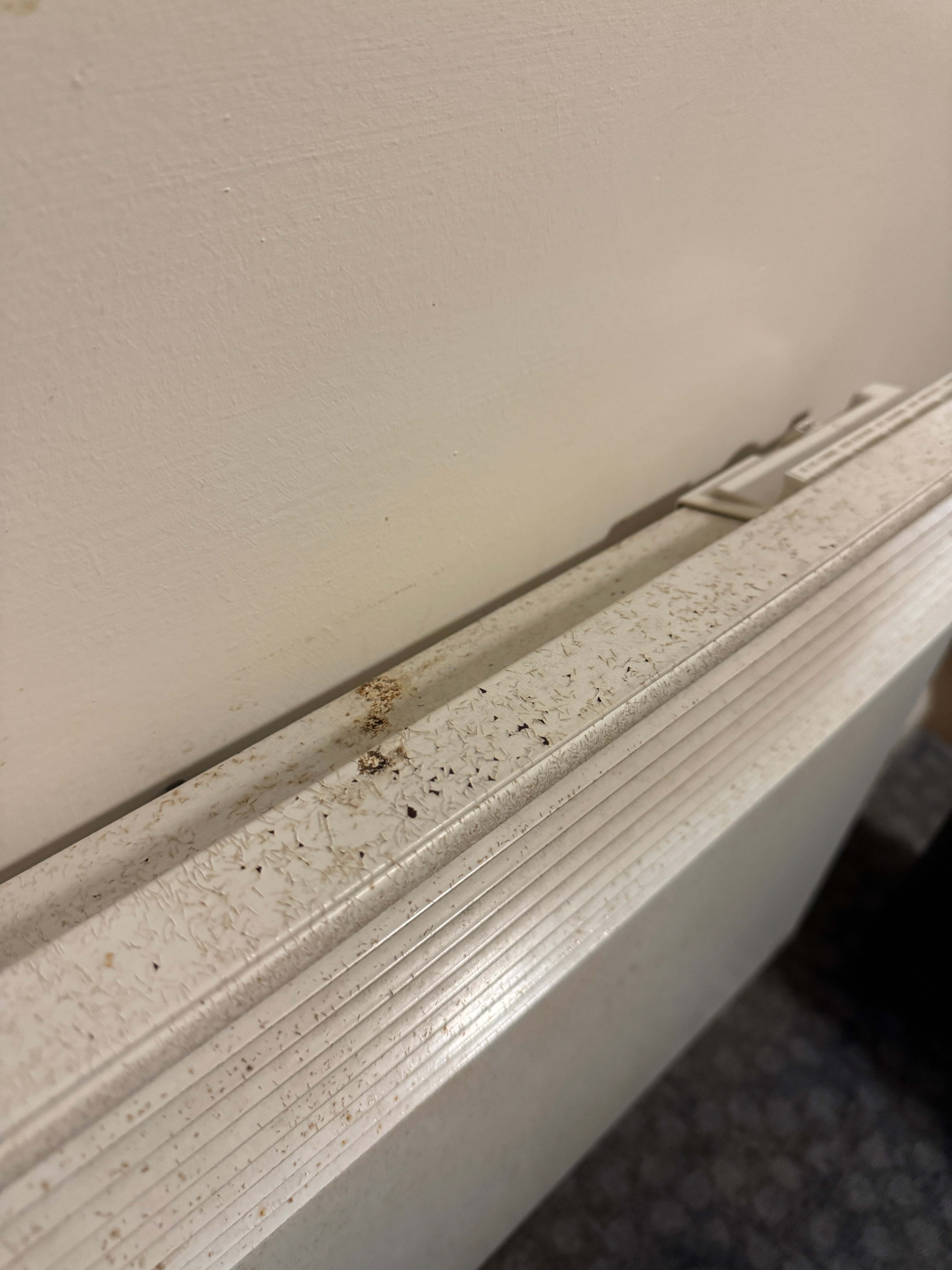 Go2 Dundee Camperdown Hotel-客卧