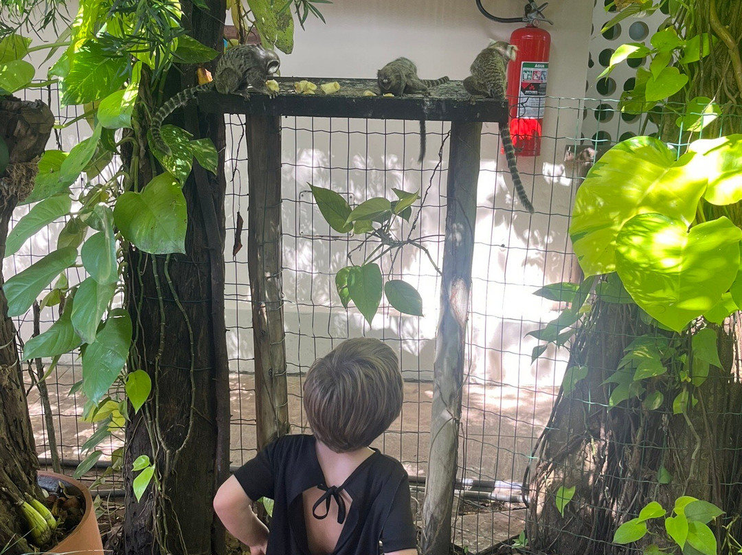 Pousada Ogum Marinho主图