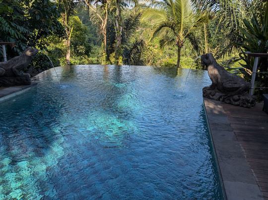 Sacred Valley Ubud by GenuineHost主图