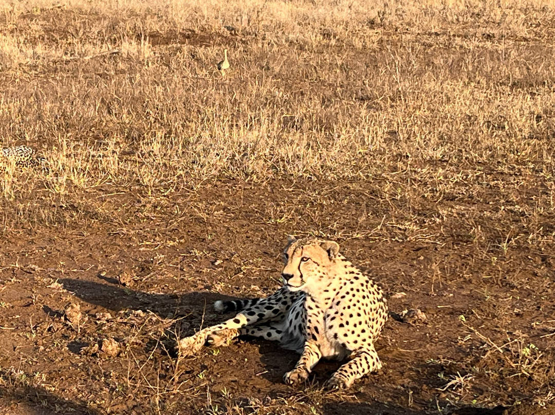 Discover Kruger Safaris-库马堤港必去景点