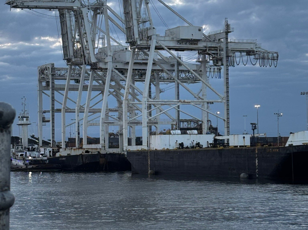 Port View Park-奥克兰必去景点