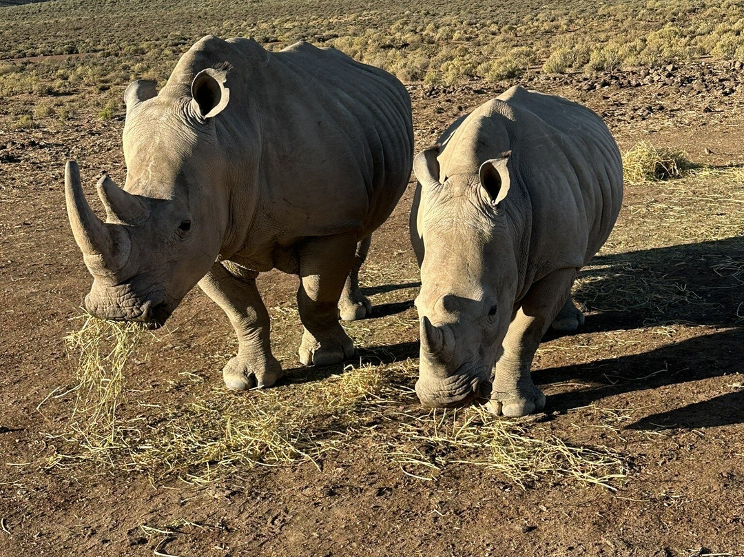 Mont Eco Game Reserve主图