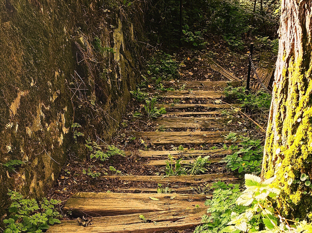 Passerelle Saint Jacques ou de la Minoterie