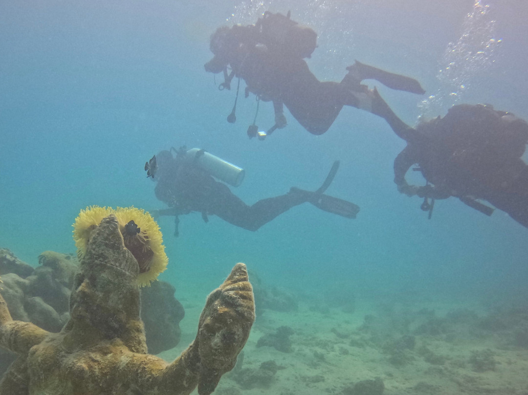 Scuba World Diving Mauritius-马喜埔必去景点