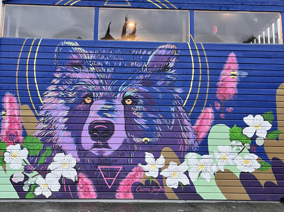 August Jack Motor Inn主图