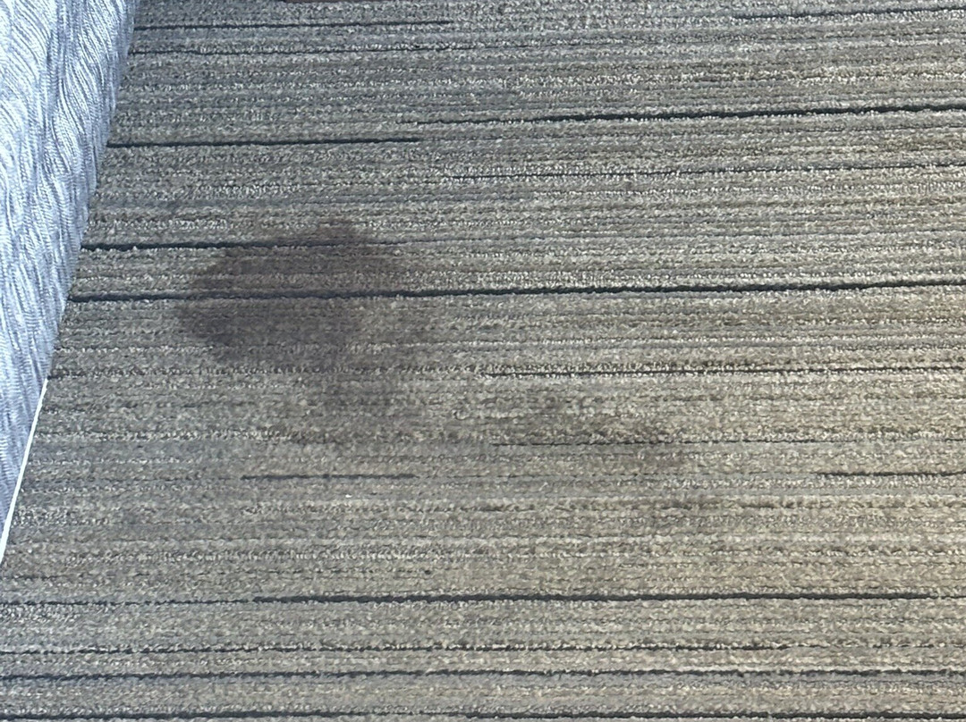 Holiday Inn Express & Suites Gulf Shores By IHG主图