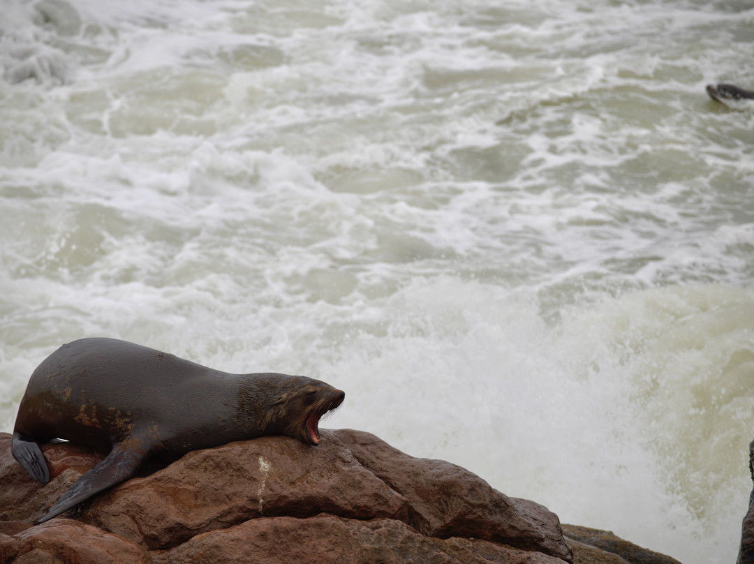 Great Explorations Namibia-温德和克必去景点