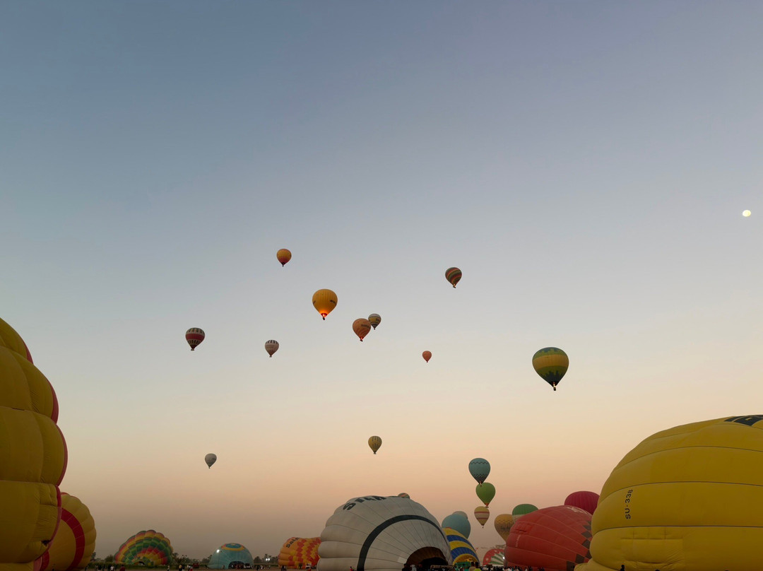 Mena Tour Guide Aswan Luxor-亚斯文必去景点