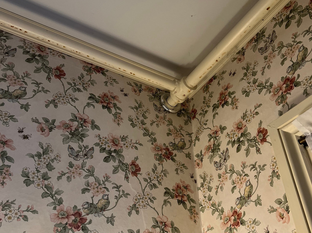 Inn at Jackson主图