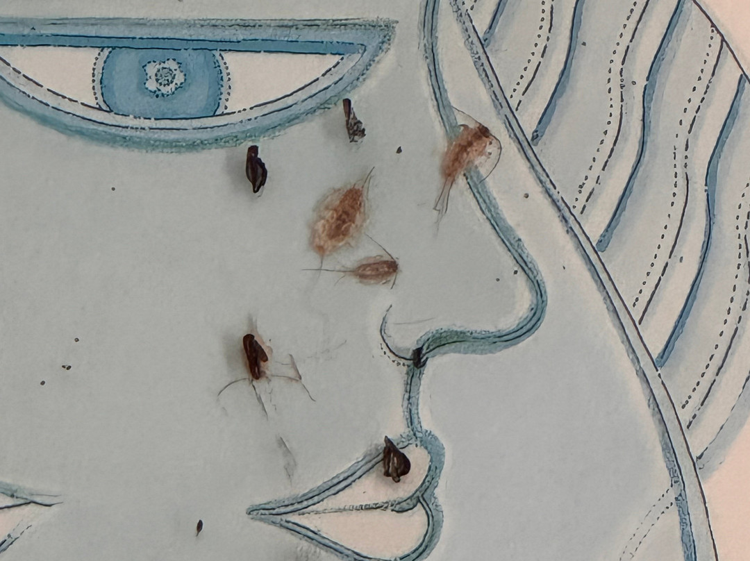 Résidence Royal - Deluxe主图