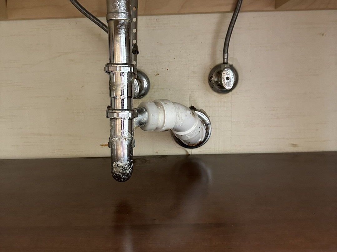 Hampton Inn Alexandria/Pentagon South主图