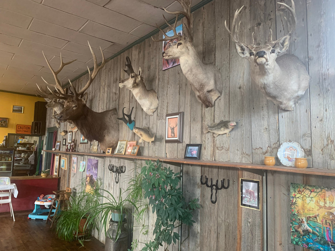 Elk Mountain Trading Company