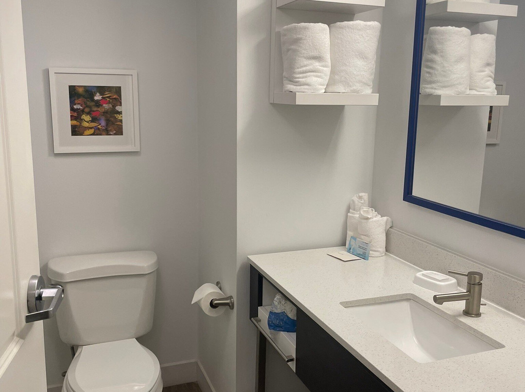 怀特河路口希尔顿恒庭酒店主图