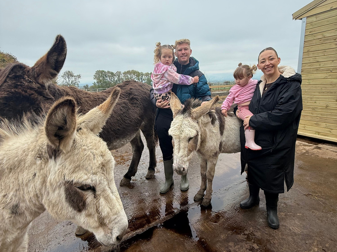 Barnhill Donkeys Retreat Sleagill-Sleagill必去景点