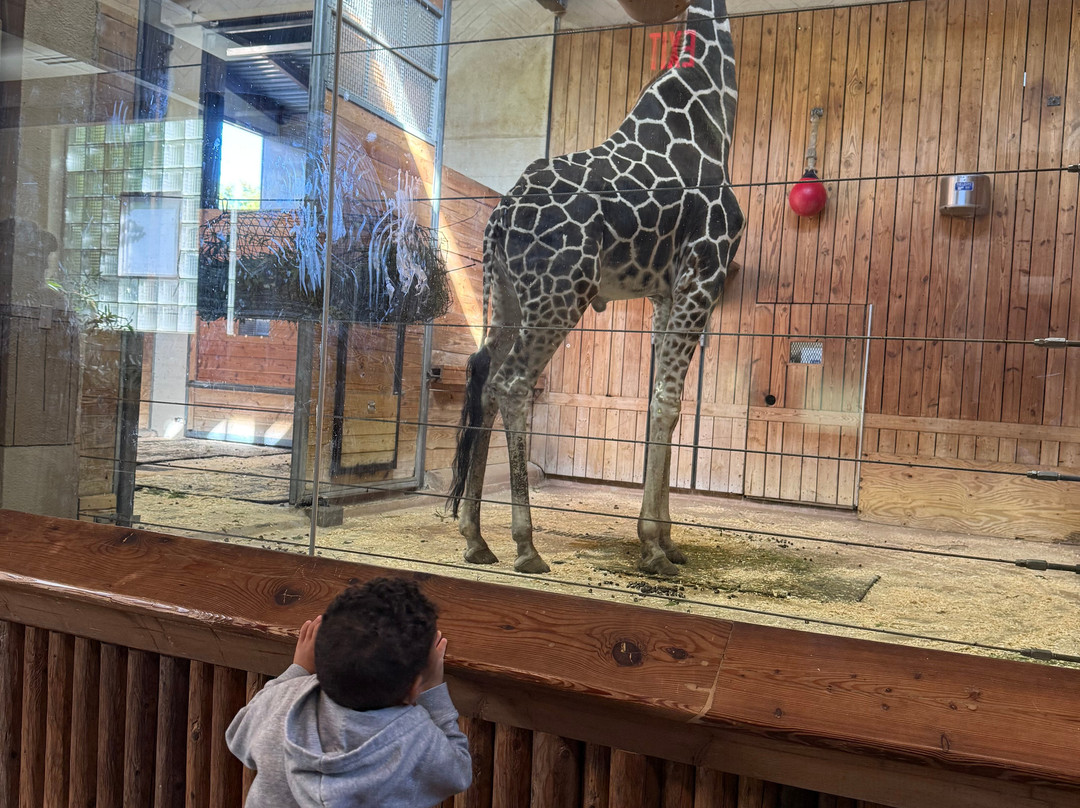 Detroit Zoo-罗亚尔奥克必去景点